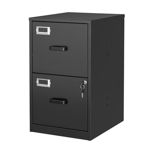 BYNSOE 2 Drawer File Cabinet with Lock